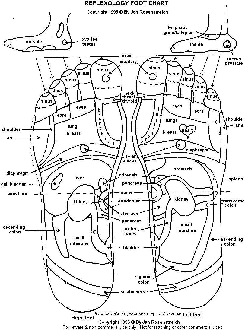 Reflexology foot chart